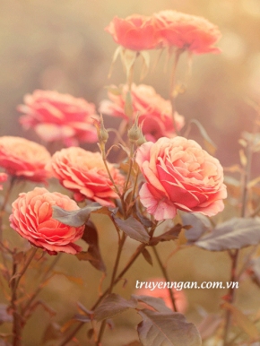 Kết quả cuộc thi viết truyện cho tập truyện ngắn 