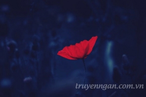 Viết cho ngày lãng đãng