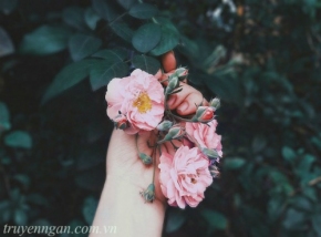 Cơn gió vĩnh hằng