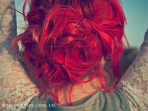 Nhím xù tóc đỏ