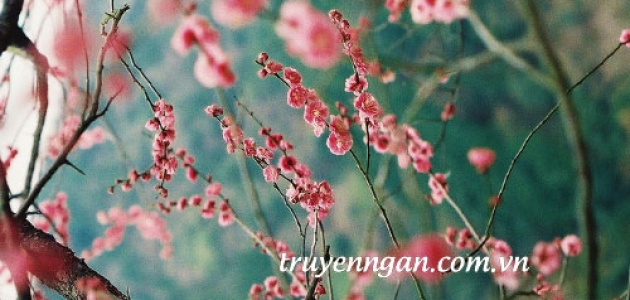 Ở niềm tin của tình yêu có hạnh phúc